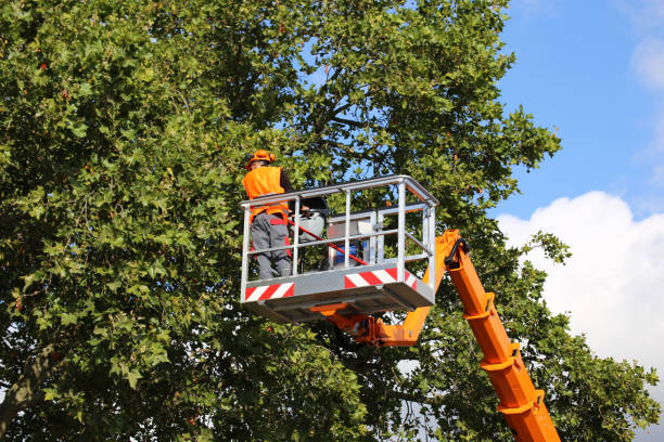Mulching Services in Neptune Beach, FL